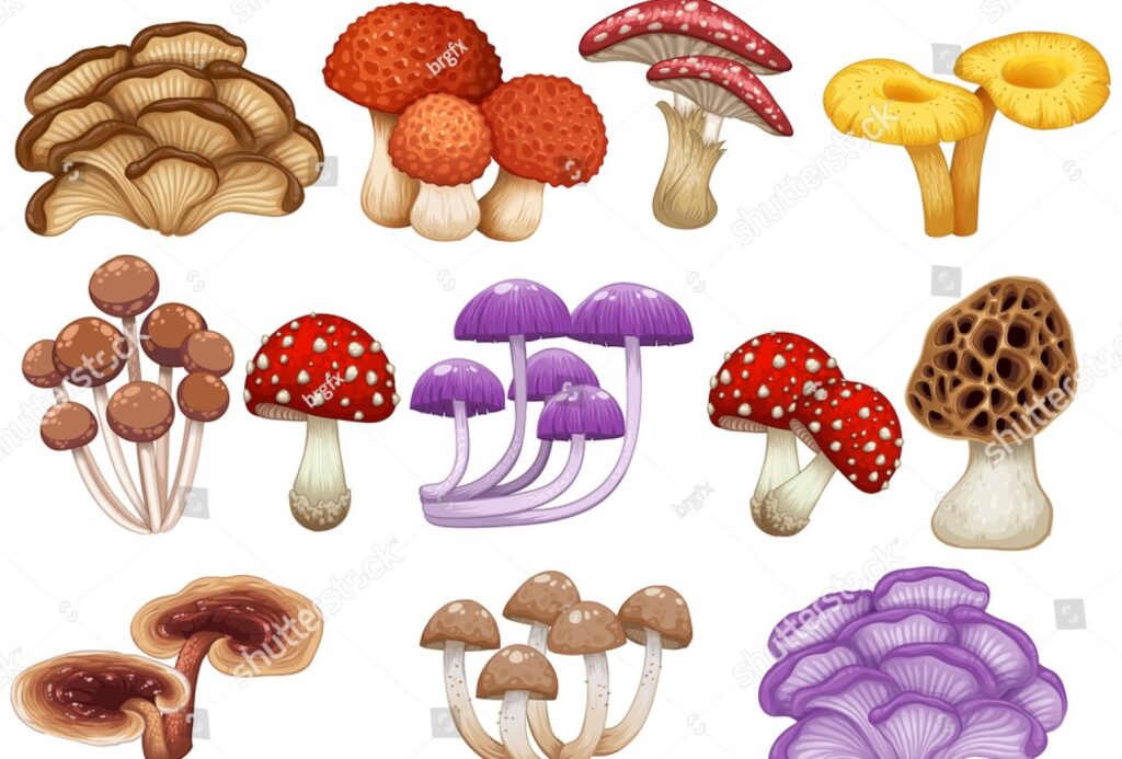 How To Grow Mushrooms At Home Complete Guide 